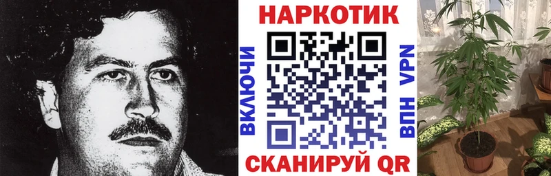 Купить наркотик Сертолово COCAIN Alpha PVP ГАШИШ Каннабис МЕФ